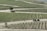 An expansive vineyard with neatly arranged rows of grapevines stretches across the landscape. A dirt path weaves through the vineyard, where a tractor is seen driving with a cart attached. A solitary tree and a bench are visible near the path, providing a small shaded area. The overall appearance is one of agricultural precision and natural beauty.