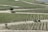 An expansive vineyard with neatly arranged rows of grapevines stretches across the landscape. A dirt path weaves through the vineyard, where a tractor is seen driving with a cart attached. A solitary tree and a bench are visible near the path, providing a small shaded area. The overall appearance is one of agricultural precision and natural beauty.