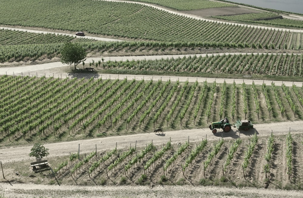 Fotografia aerea dell'azienda agricola durante il giorno