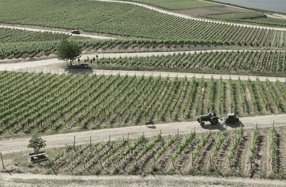 aerial view photography of farm during daytime