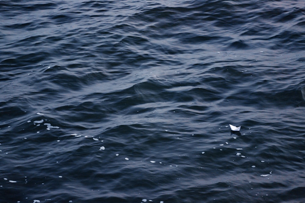 barco de papel navegando no corpo de água