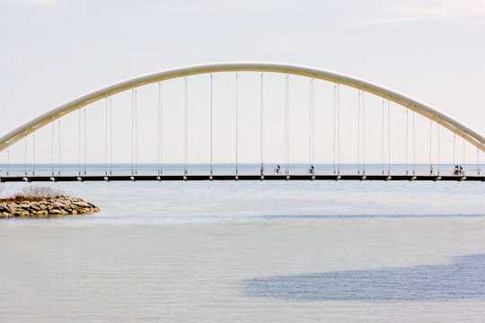 gray bridge above the ocean in Humber Bay Arch Bridge Canada
