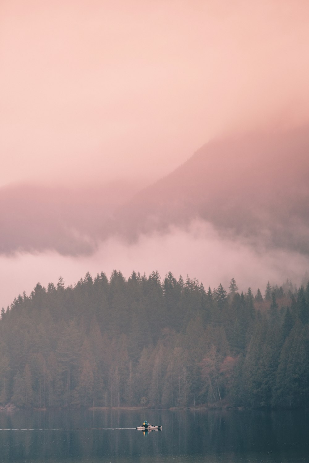 Fotografía aérea de lagos y bosques