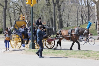 A horse-drawn carriage is moving along a road in a park setting. The carriage, painted blue and yellow, is carrying several passengers. The driver, dressed in a black outfit, is sitting on the front seat. People are visible around the carriage, including a person taking a photo and another person using a phone. In the background, there are cyclists and trees, creating a serene, urban park environment.