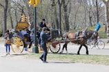 A horse-drawn carriage is moving along a road in a park setting. The carriage, painted blue and yellow, is carrying several passengers. The driver, dressed in a black outfit, is sitting on the front seat. People are visible around the carriage, including a person taking a photo and another person using a phone. In the background, there are cyclists and trees, creating a serene, urban park environment.