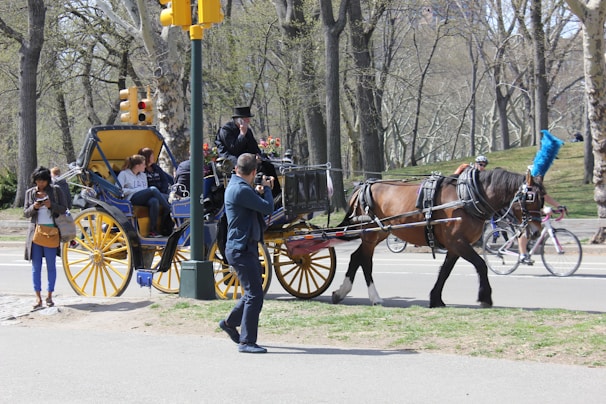 A horse-drawn carriage is moving along a road in a park setting. The carriage, painted blue and yellow, is carrying several passengers. The driver, dressed in a black outfit, is sitting on the front seat. People are visible around the carriage, including a person taking a photo and another person using a phone. In the background, there are cyclists and trees, creating a serene, urban park environment.