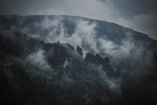 A misty morning in the Carpathian Mountains with dense forest and a winding trail.