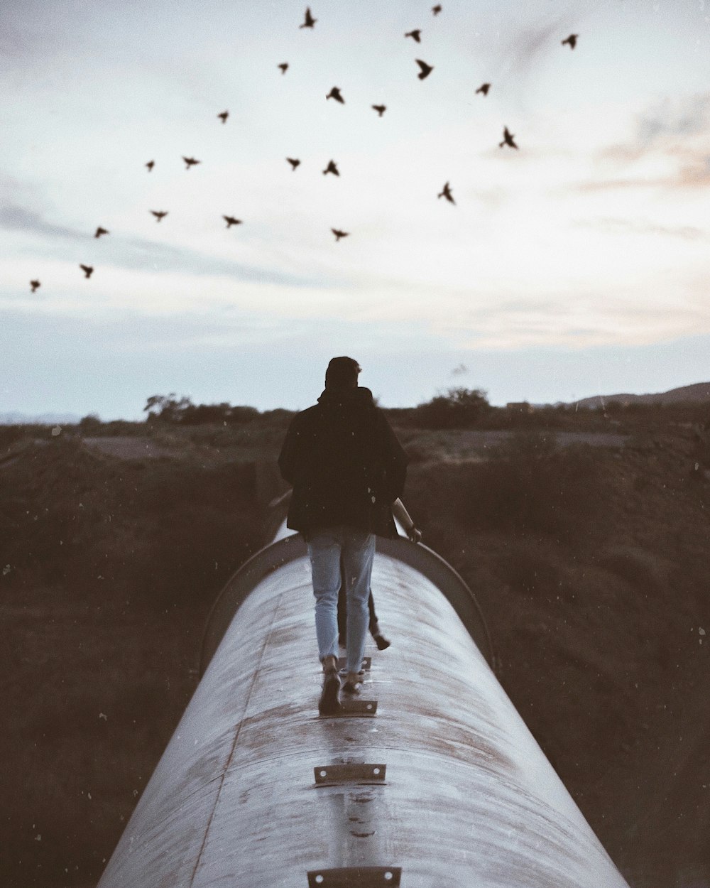 person standing on gray metal pipe under flying birds during daytime