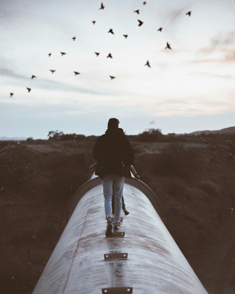 Persona in piedi sul tubo di metallo grigio sotto gli uccelli che volano durante il giorno