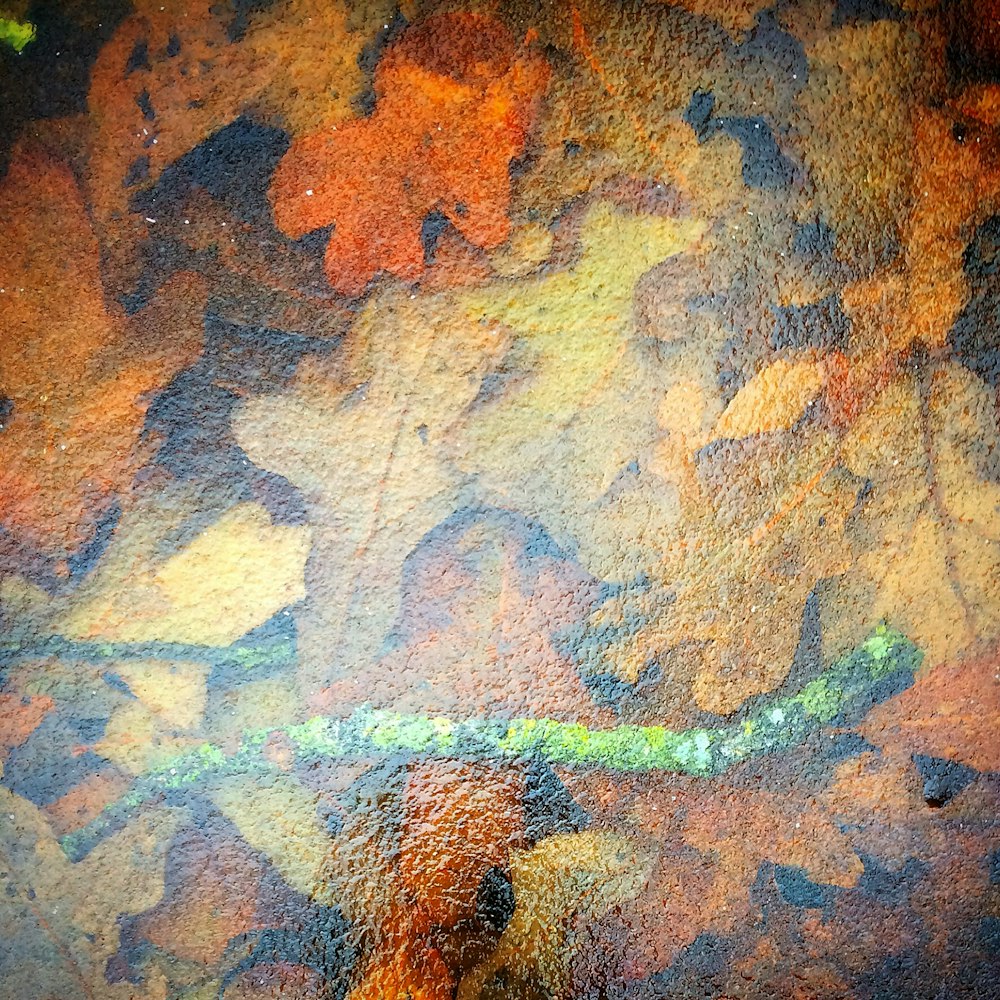 a close up of a painting of leaves