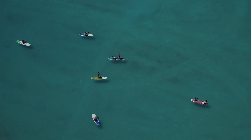 people riding boats