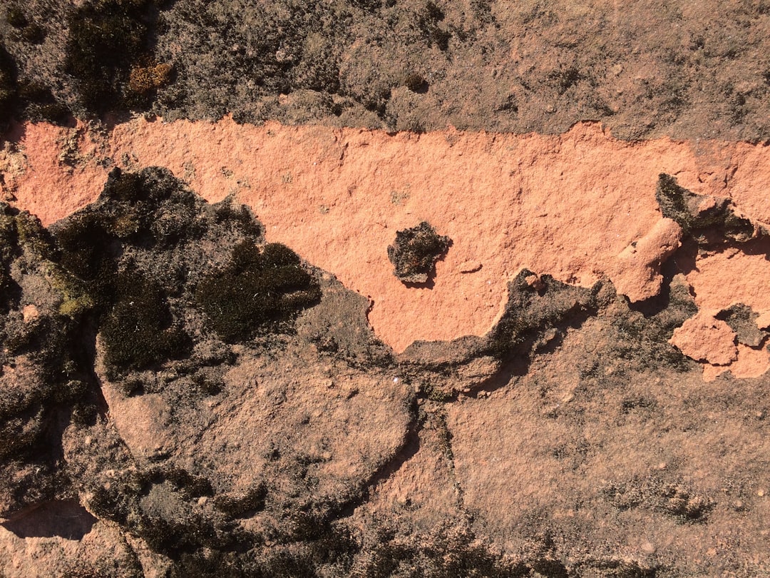 close-up photo of gray and brown rock formation