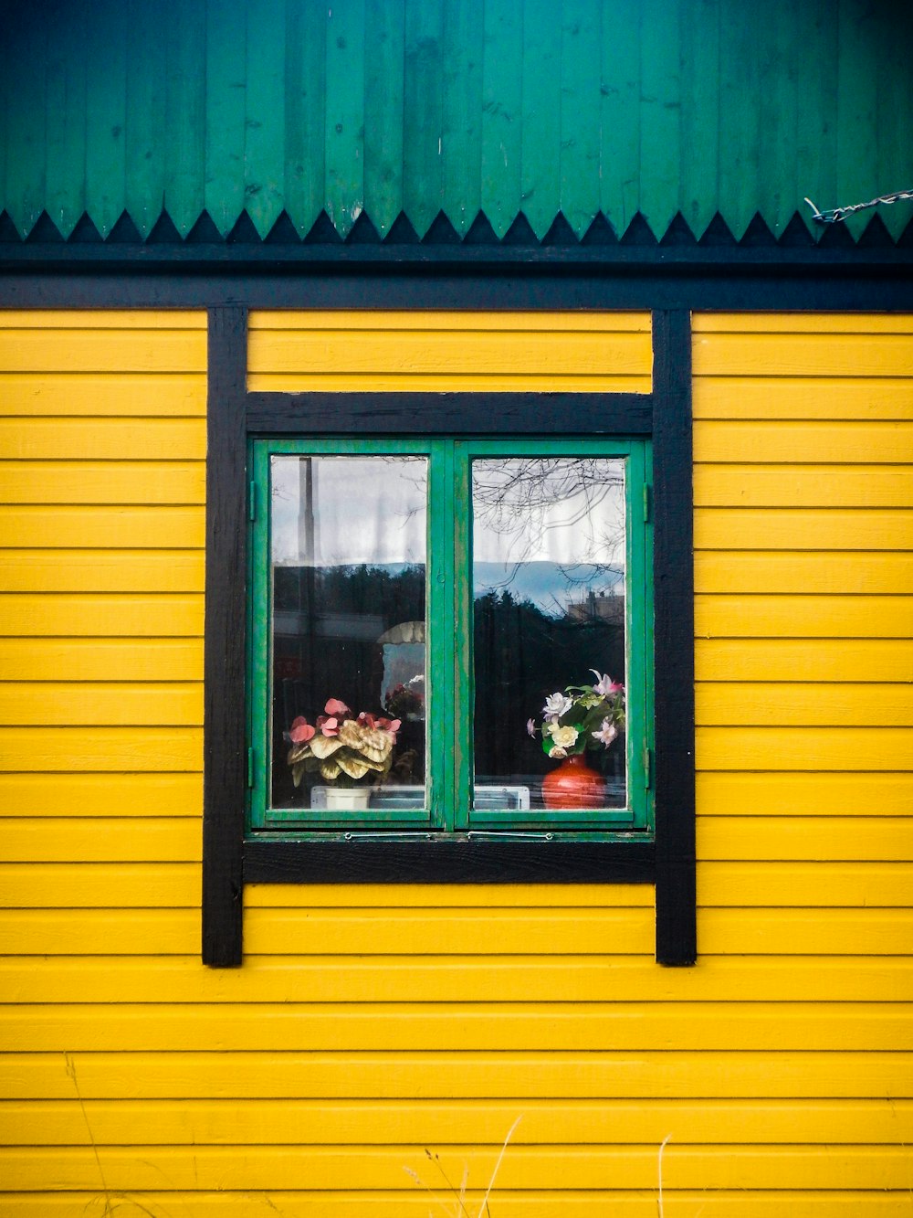 Maison peinte en jaune et noir avec fenêtre en verre encadrée en vert