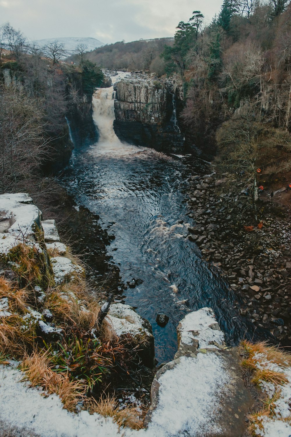 waterfalls in forest at daytime