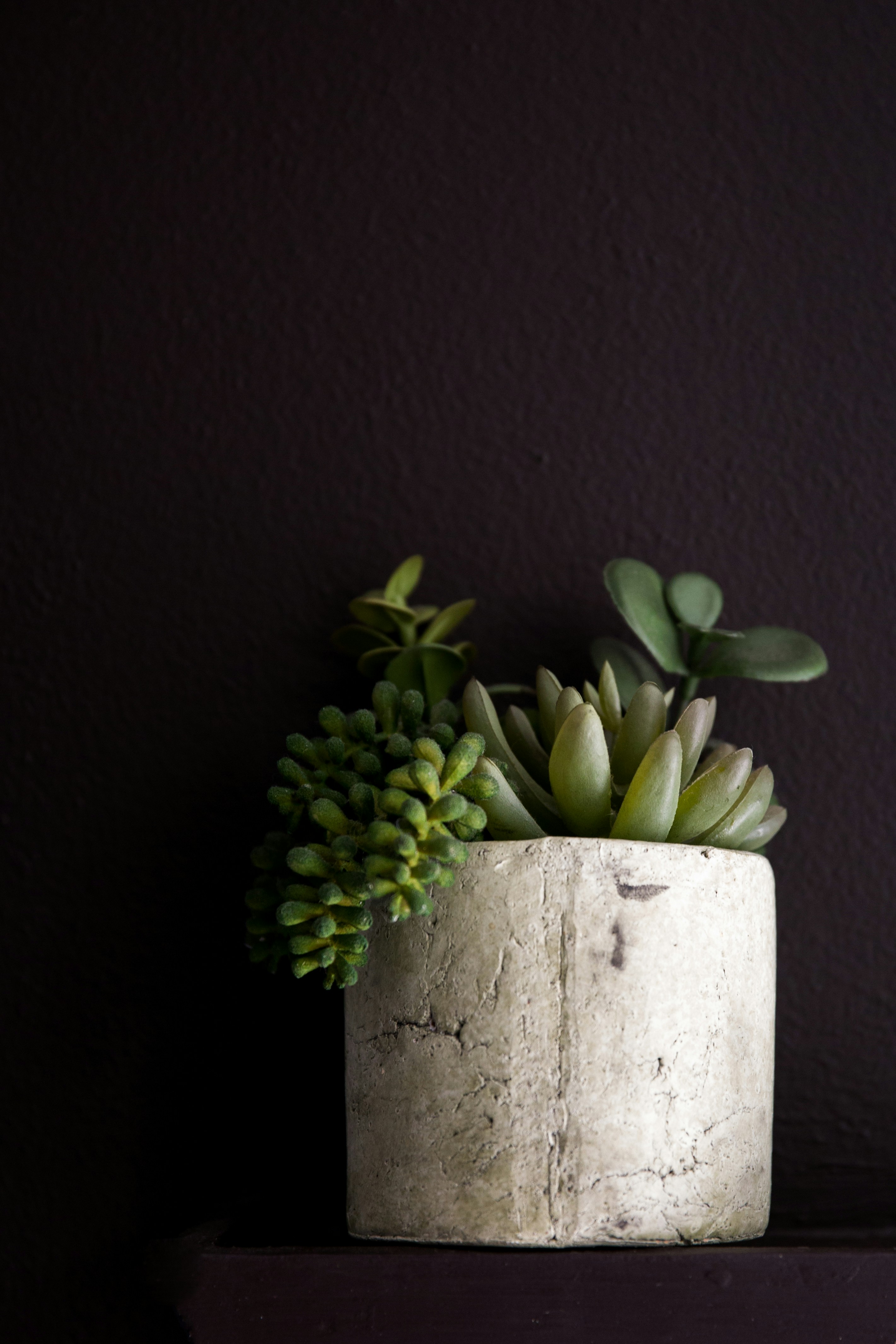 Elegant Nordic Planter
