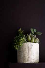 Close-up of a sleek, hand-crafted concrete planter with smooth curves in a warm copper-earth tone setting.
