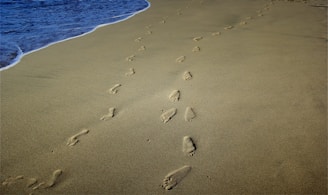 foot prints on brown sands