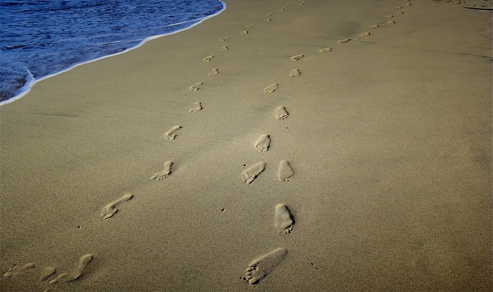 foot prints on brown sands