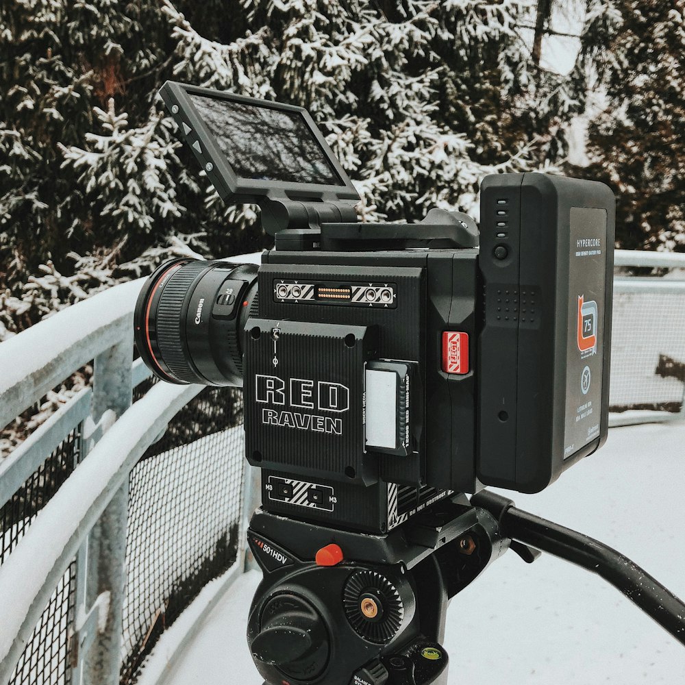 black Red video camera front of tree