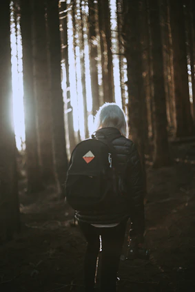 A serene Scandinavian forest trail with a backpacker walking under tall pine trees during golden hour.