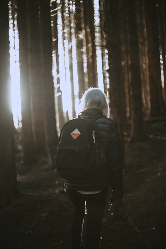 person carrying backpack walking towards trees in Northern Ireland United Kingdom