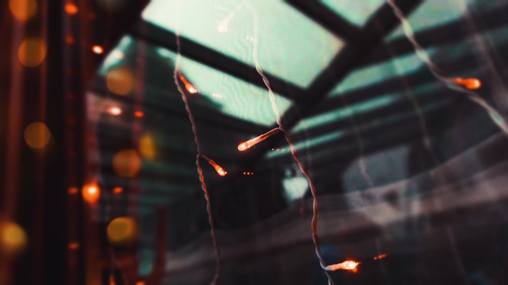 shallow focus photography of string lights