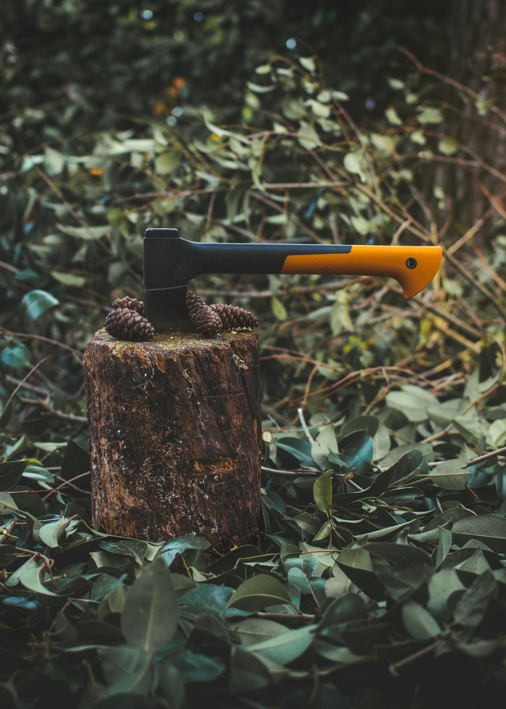 axe on brown tree log