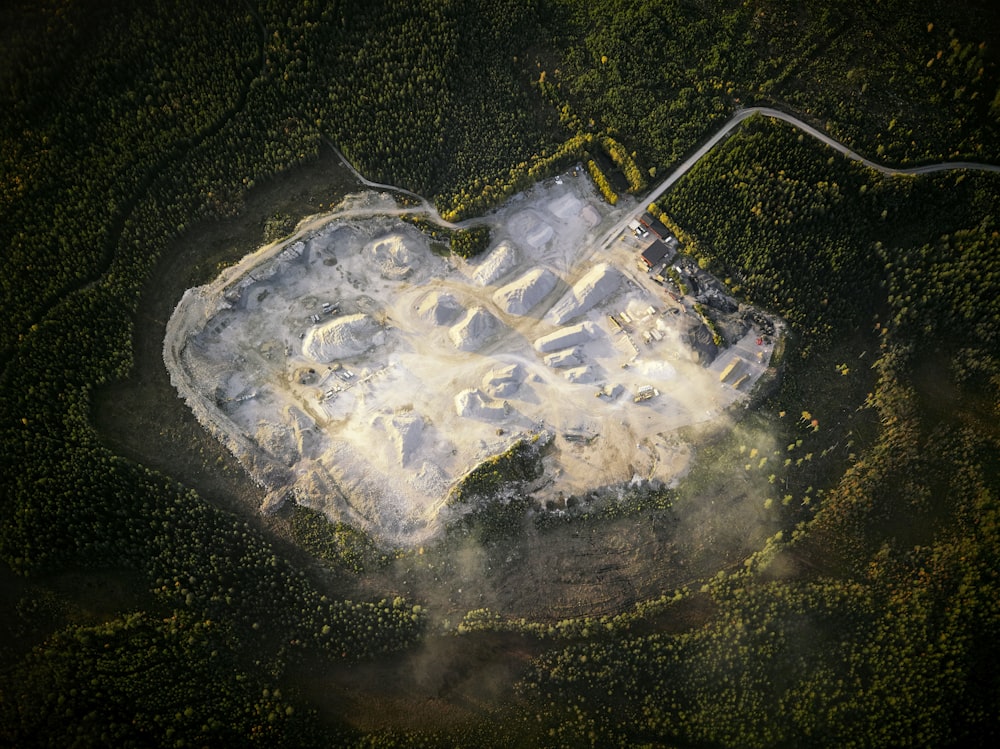 aerial view of forest