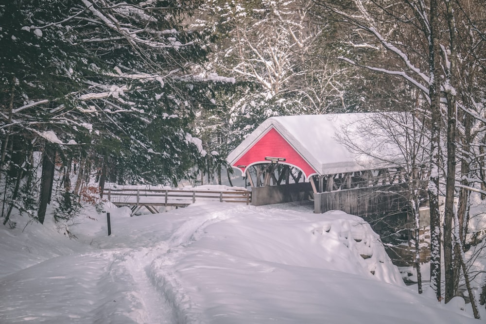 gazebo grigio e rosso coperto di neve vicino agli alberi