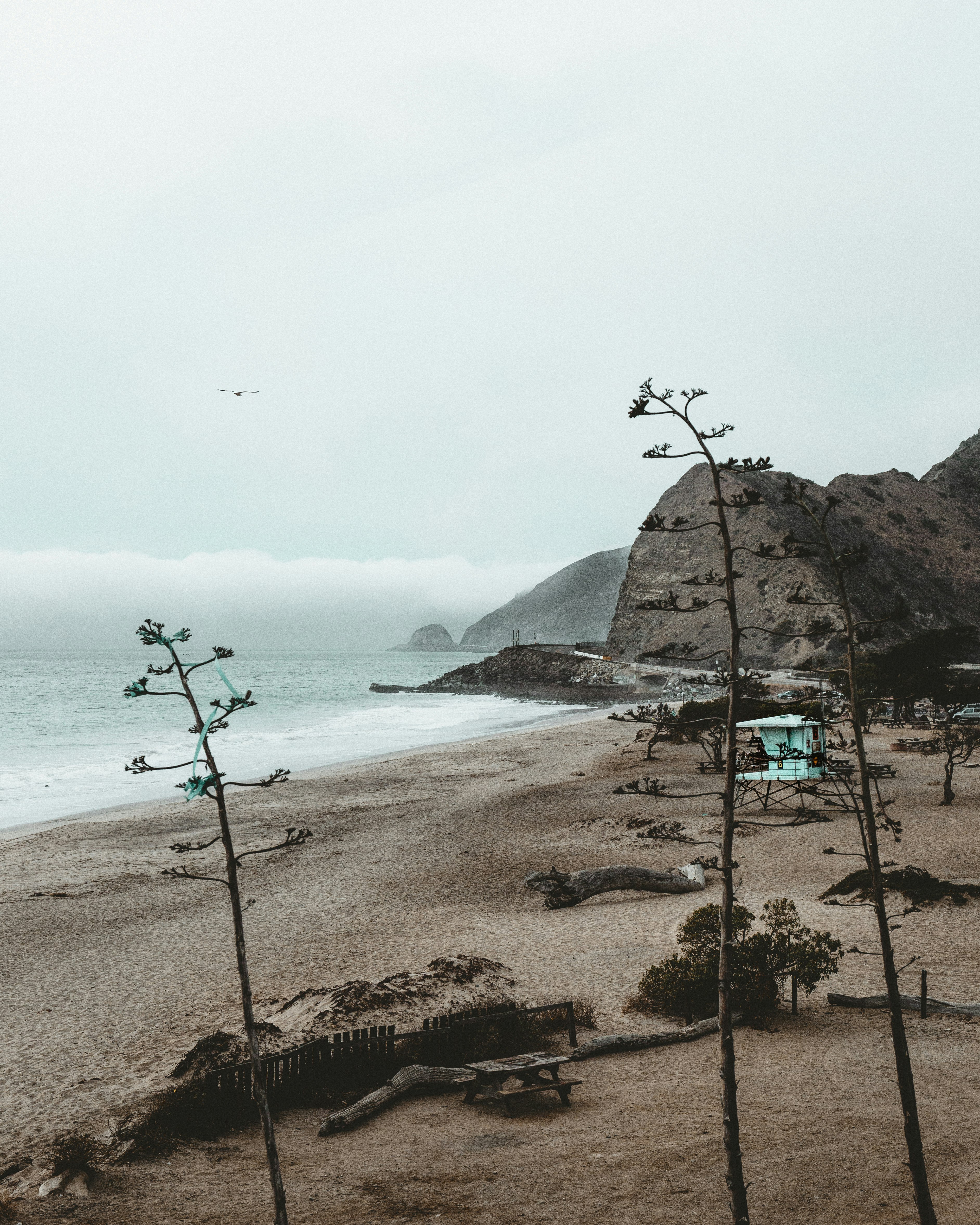 brown shore near mountain