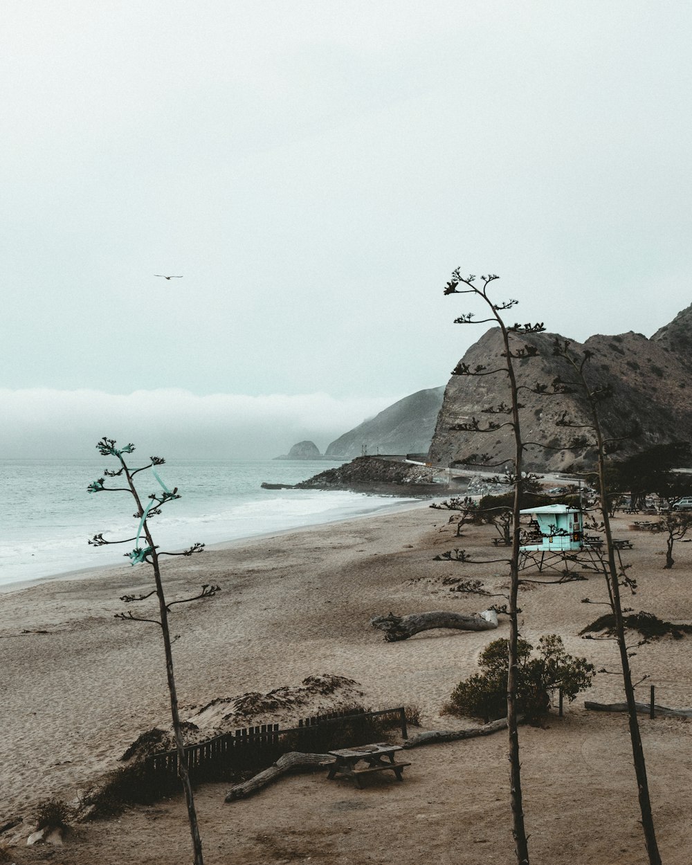 brown shore near mountain