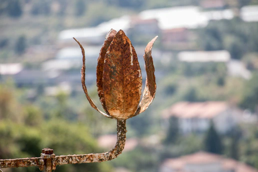 A close-up of a rusted steel planter nestled among vibrant garden flowers, showcasing the rich texture and craftsmanship.