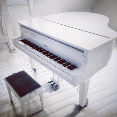 A sleek grand piano with polished ebony finish in a sunlit room.