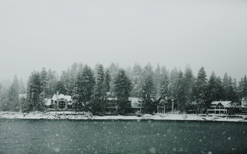 grayscale photo of houses surrounded by trees