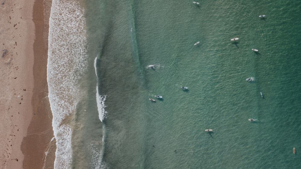 aerial view of blue body of water