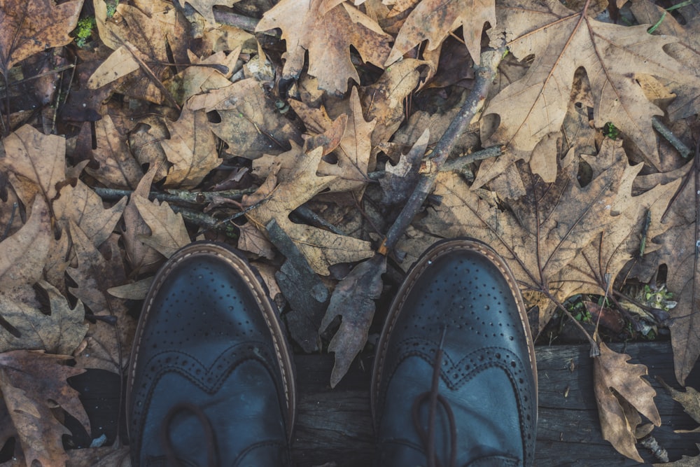 pair of black leather wingtip shoes on dried leaves