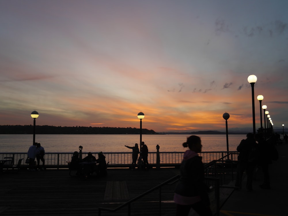 silhouette of people on park front of sea