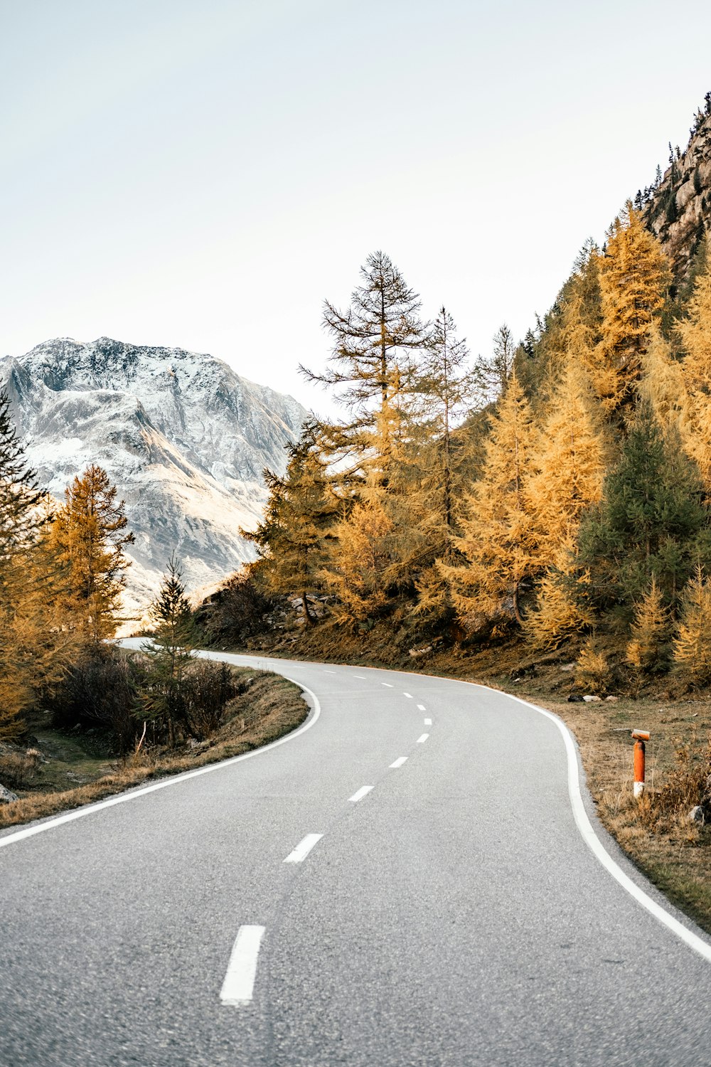 route sinueuse près des montagnes et de la forêt pendant la journée