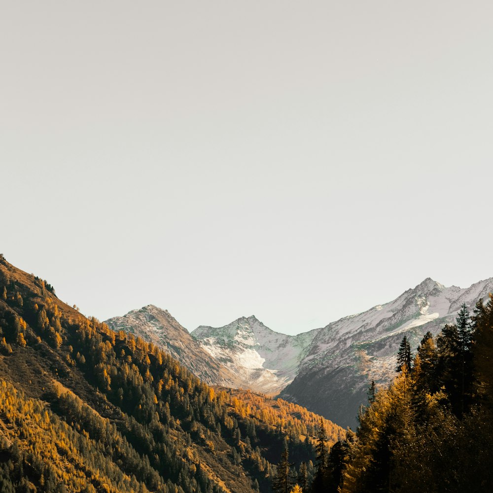 Beautiful Free Images Pictures Unsplash   Beautiful Free Images Pictures Unsplash