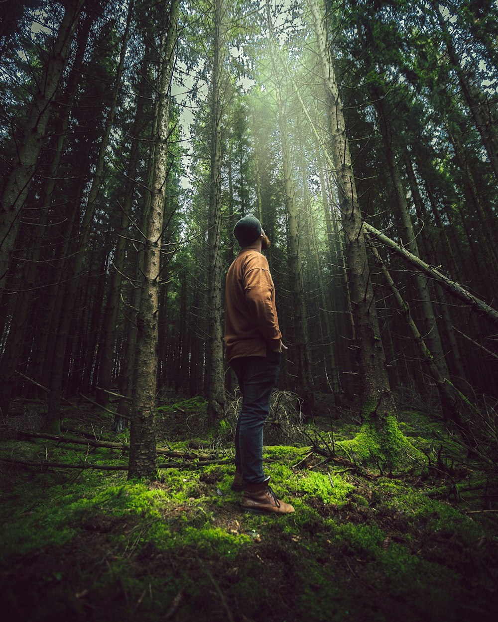 homme debout près des arbres