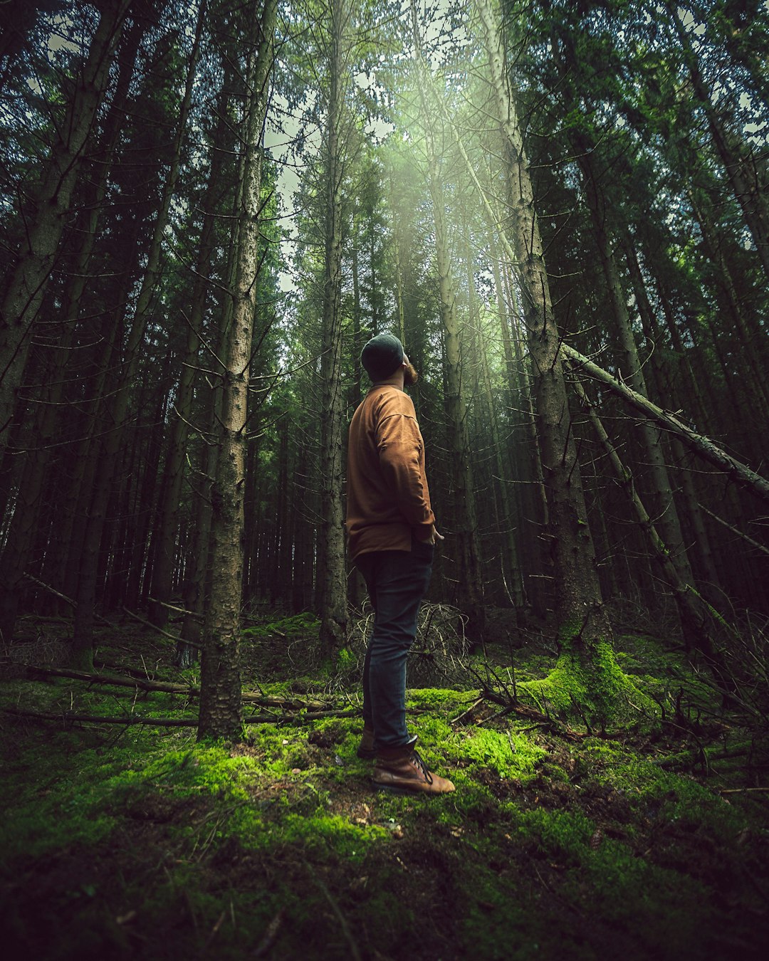 Forest photo spot Eifel National Park Viersen