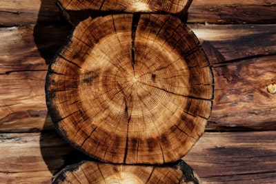 brown tree log log home zoom background