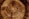 photo of brown wood slab
