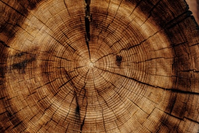 photo of brown wood slab log zoom background