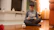 A focused boy using a tablet with animated AI graphics around him.