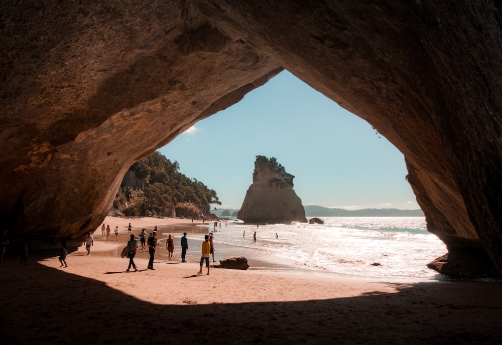 people on seashore