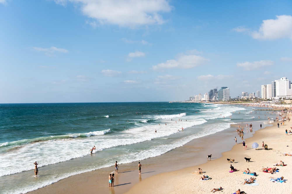 photo of people near at the ocean