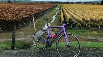 A happy customer riding a bike along a sunny Temecula Valley trail with vineyards in the background.