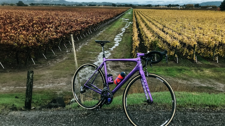 A happy customer riding a bike along a sunny Temecula Valley trail with vineyards in the background.