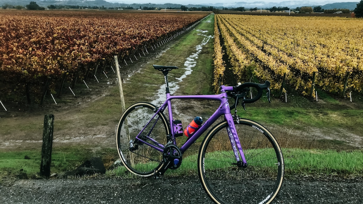 Close-up of a well-maintained bike ready for rental with a scenic vineyard background